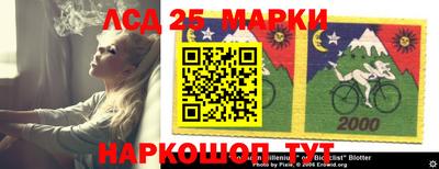 spice Нальчик